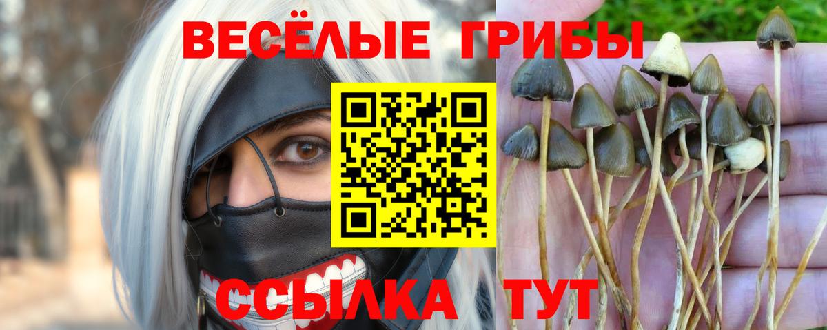 Галлюциногенные грибы мухоморы  Псилоцибиновые грибы GOLDEN TEACHER  Советский  закладка  Вход с VPN 